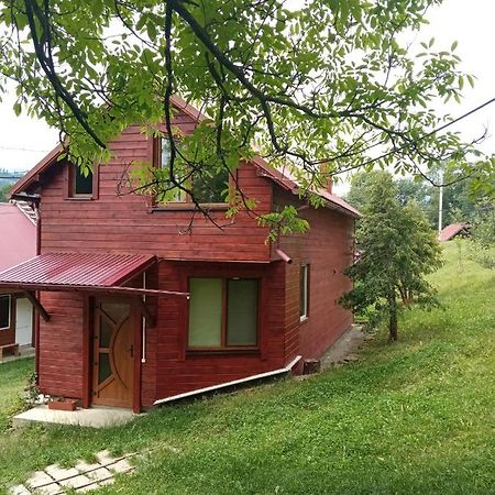 Котедж "Барвінок" Verkhovyna Esterno foto