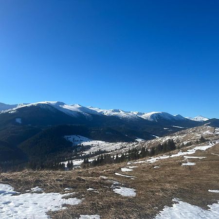 Котедж "Барвінок" Verkhovyna Esterno foto