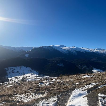 Котедж "Барвінок" Verkhovyna Esterno foto