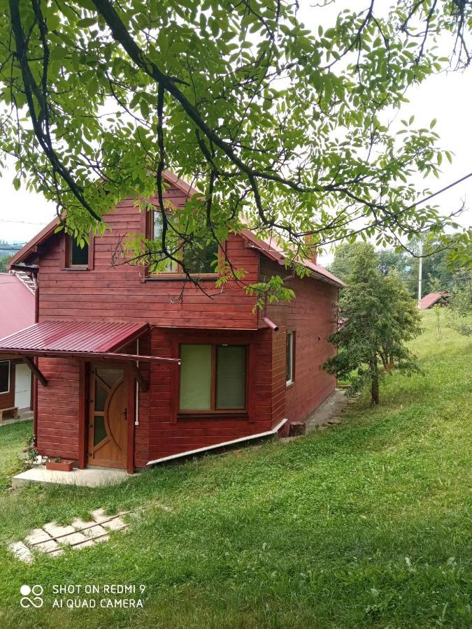 Котедж "Барвінок" Verkhovyna Esterno foto