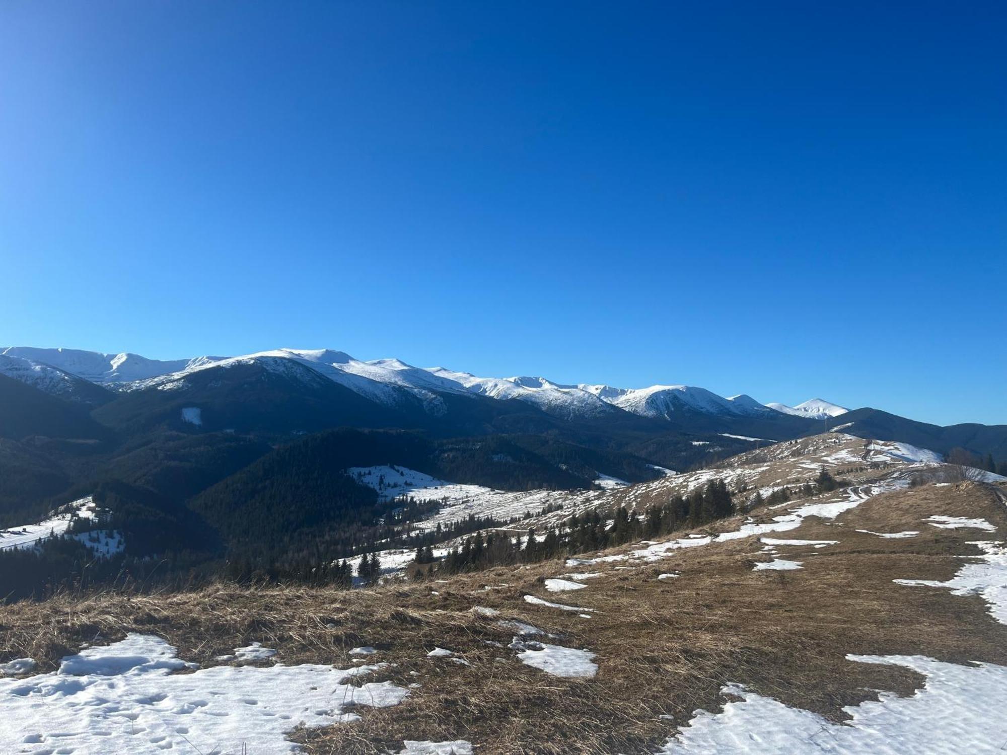 Котедж "Барвінок" Verkhovyna Esterno foto