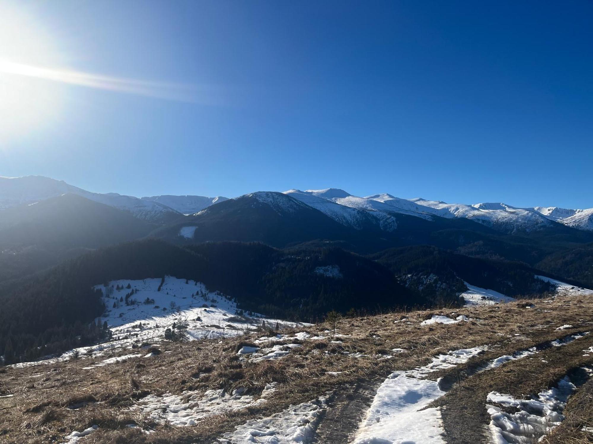 Котедж "Барвінок" Verkhovyna Esterno foto