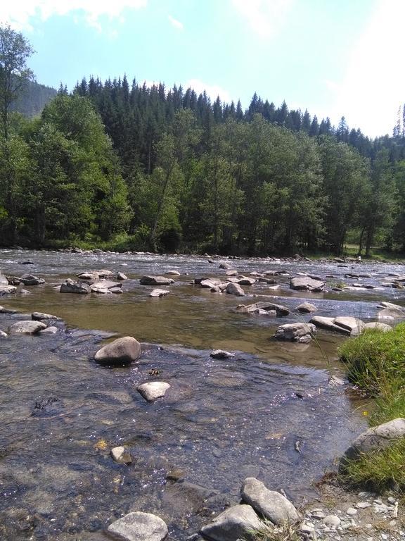 Котедж "Барвінок" Verkhovyna Esterno foto