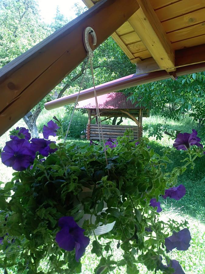 Котедж "Барвінок" Verkhovyna Esterno foto