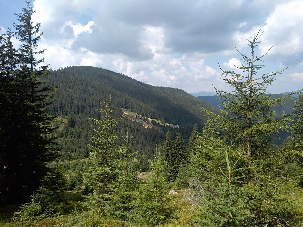 Котедж "Барвінок" Verkhovyna Esterno foto
