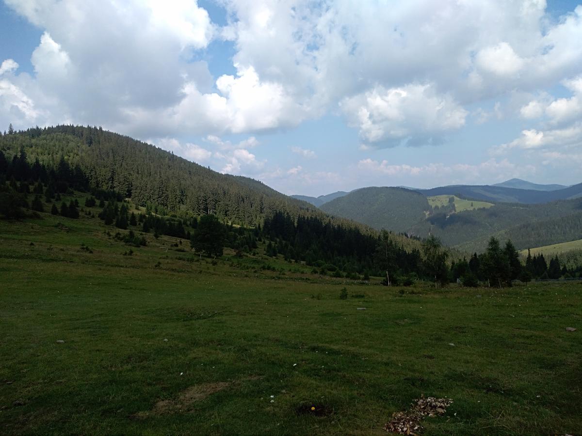 Котедж "Барвінок" Verkhovyna Esterno foto