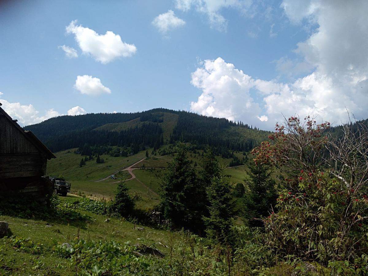 Котедж "Барвінок" Verkhovyna Esterno foto