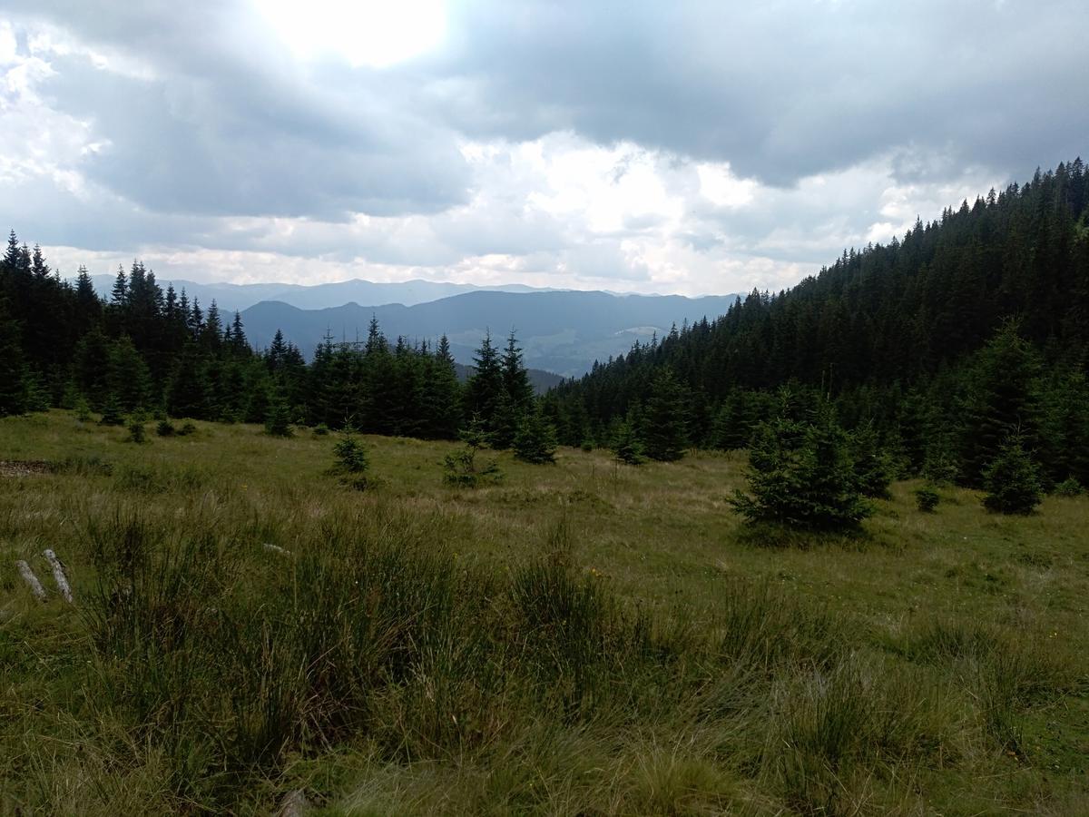 Котедж "Барвінок" Verkhovyna Esterno foto